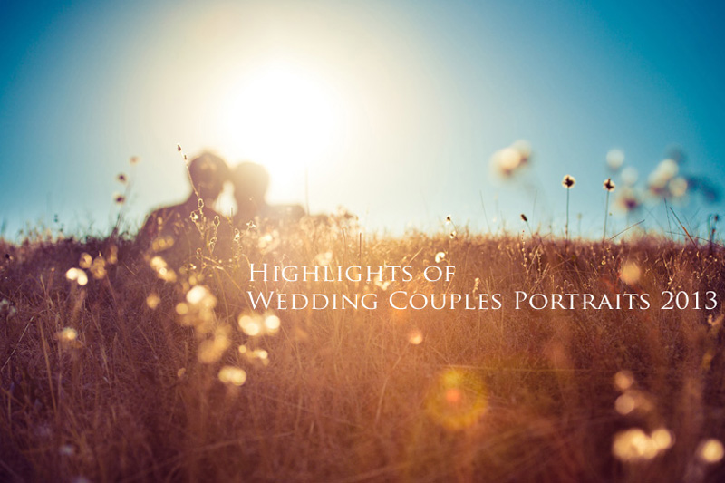 Highlights of Wedding Couples Portraits 2013