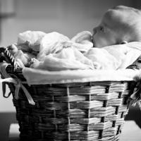 babyfotos-sophia 05