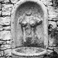 dsc 2260