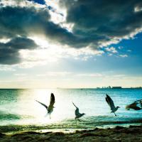 travel-bestof 067