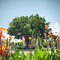 travel-bestof 137