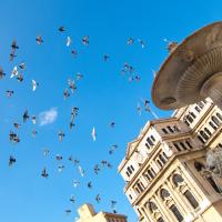 travel-bestof 025
