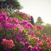 travel-bestof 131
