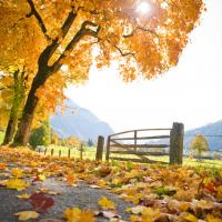 travel-bestof 005