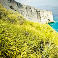 travel-bestof 126